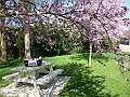 2010-04-11 -  8 Low